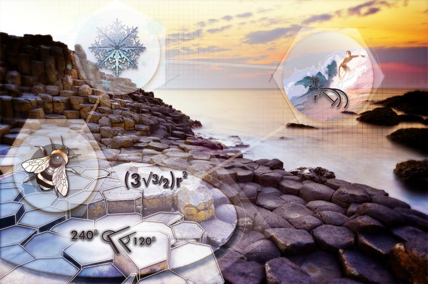 Jacey digital illustration53